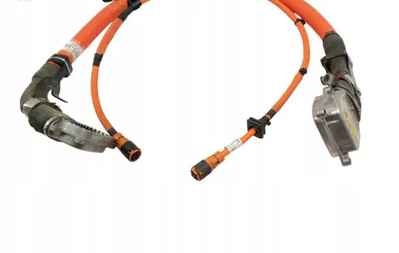 BMW 3 G20 G21 Wiring harness