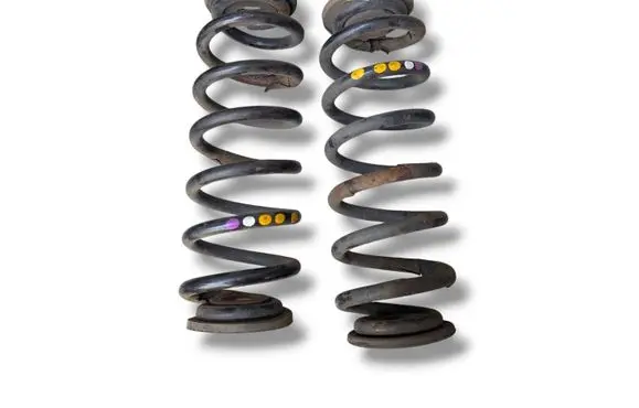 Rear coil spring