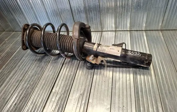Front shock absorber with coil spring