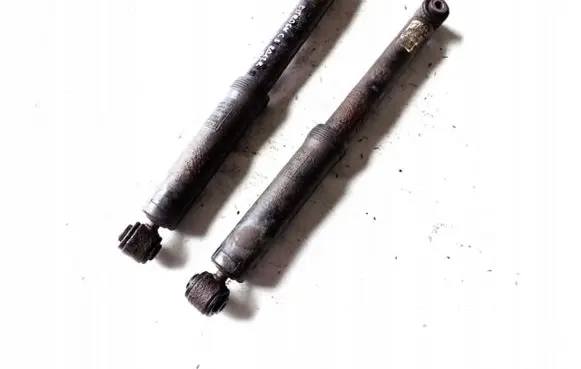 Citroen C3 Rear shock absorber/damper