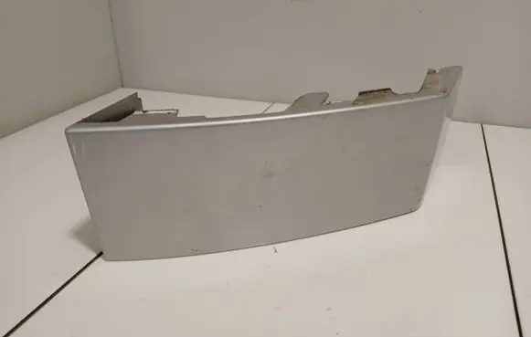 Rear/tail light trim molding