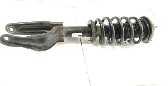Tesla Model 3 Front shock absorber/damper 104436300F