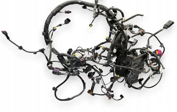 Audi RS5 Wiring harness 