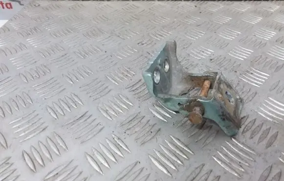 Peugeot 307 Front door lower hinge 