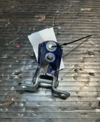 Nissan Juke I F15 Front door lower hinge 