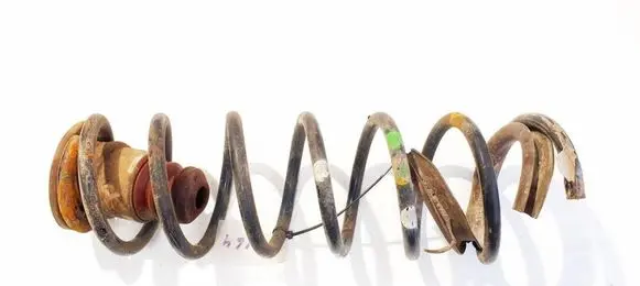 Rear coil spring