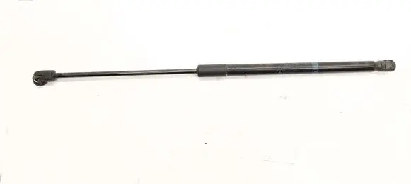 Tailgate/trunk strut/damper