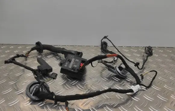 Audi A7 S7 4G Rear door wiring loom 4G8971687K TAB010403AC