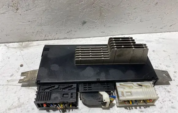 BMW 5 E39 Light module LCM 61358372117