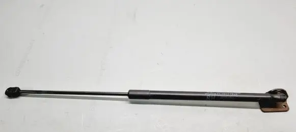 Tailgate/trunk strut/damper
