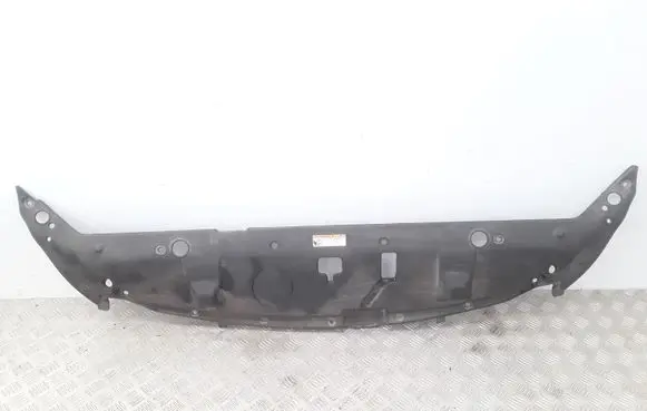 KIA Carnival Radiator trim 863624D000