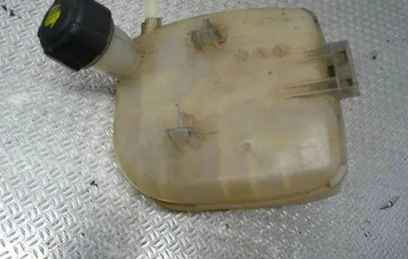 Renault Twingo II Coolant expansion tank/reservoir 8200369313