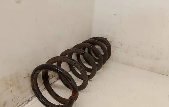 Rear coil spring