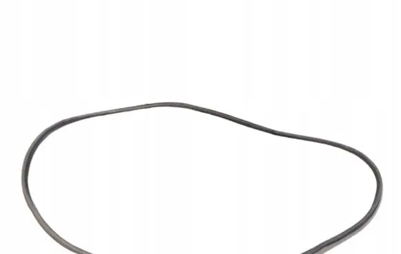 Opel Corsa C Front door rubber seal