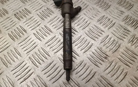 Hyundai i20 (PB PBT) Fuel injector 0445110320