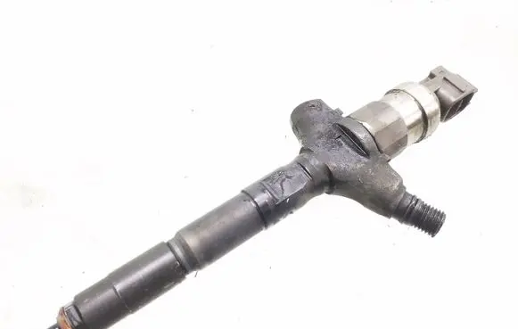 Opel Signum Fuel injector 8972391617