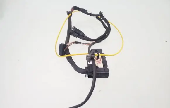 Rear door wiring loom