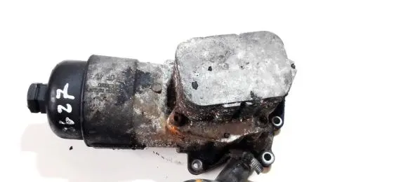 Ford Fiesta Oil filter cover 9641550680