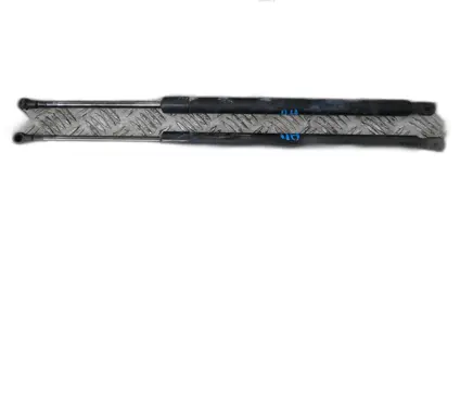 Tailgate strut