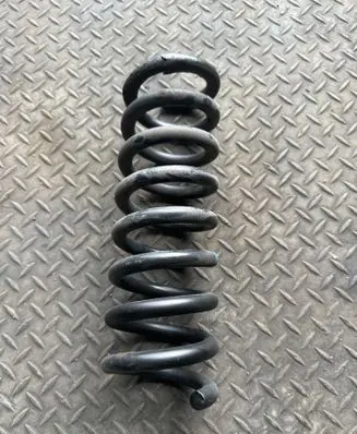 Rear coil spring