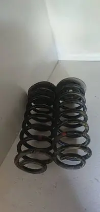 Rear coil spring