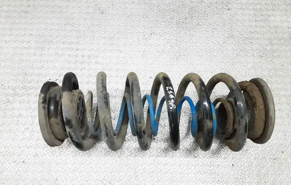 Volkswagen PASSAT B6 Rear coil spring