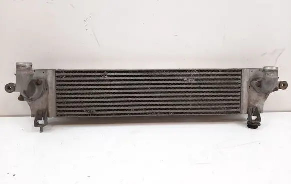 Nissan Qashqai Intercooler radiator 14461JD50A