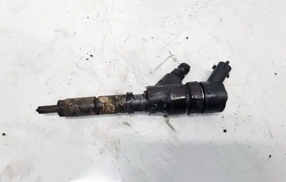 Citroen C5 Fuel injector 9640088780 0445110062