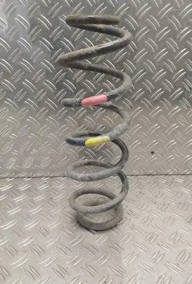 Rear coil spring