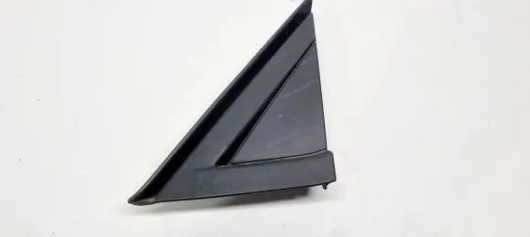 Fender trim (molding)