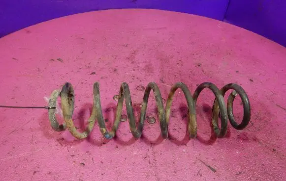 Volkswagen Fox Rear coil spring