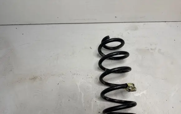 Dodge Challenger Rear coil spring 25591F