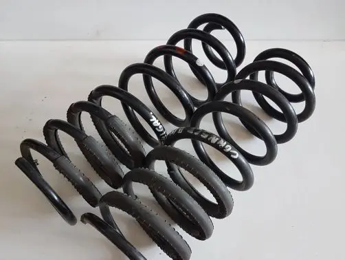 Ford Transit - Tourneo Connect Rear coil spring