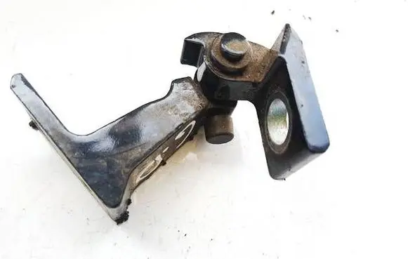 Volkswagen ID.4 Rear door lower hinge 11A831402