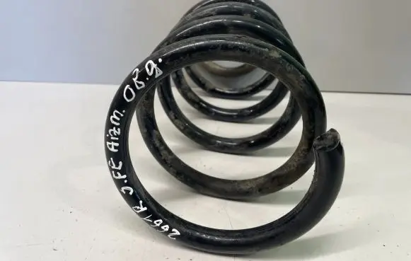 Hyundai Santa Fe Rear coil spring