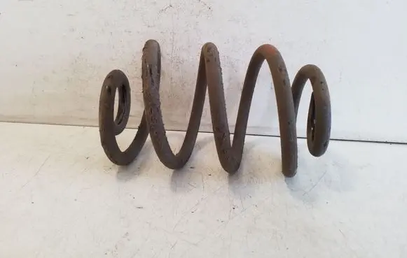 Nissan Leaf I (ZE0) Front coil spring 