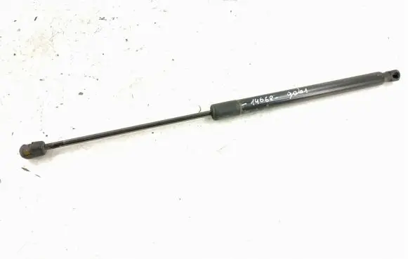 Tailgate strut