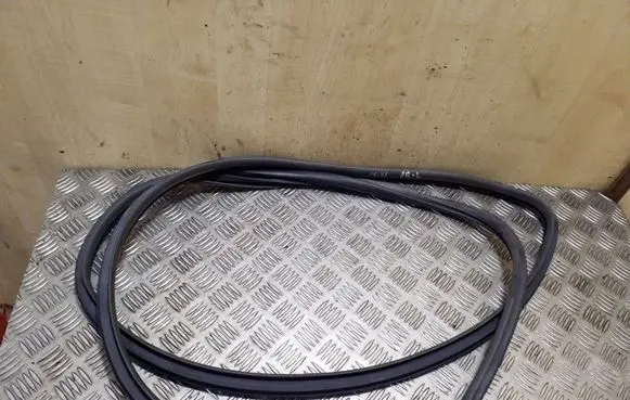 Toyota Prius (XW20) Front door rubber seal