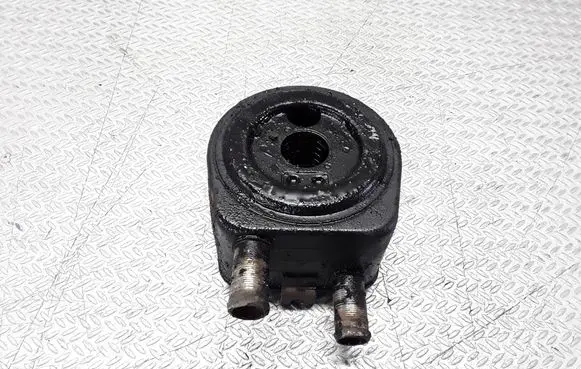 Peugeot Expert Oil filter mounting bracket