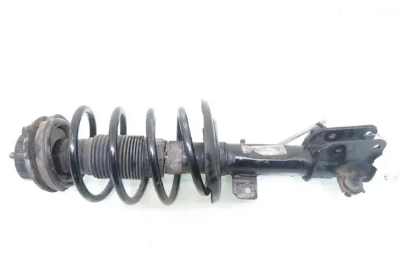 Fiat Bravo Front shock absorber with coil spring 