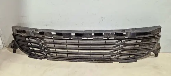 Renault Megane III Front bumper lower grill 622540001r