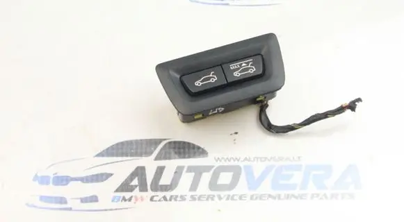 BMW 5 F10 F11 Tailgate opening switch 9194912