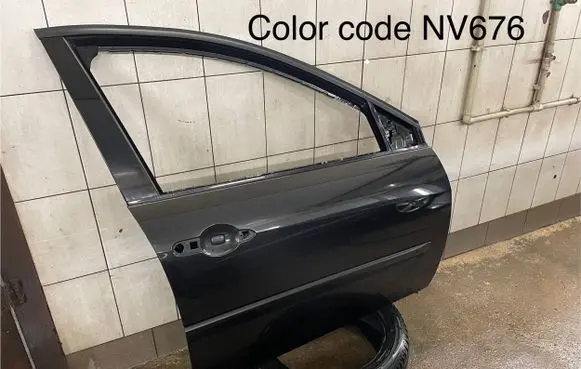 Renault Laguna III Front door 801100001R