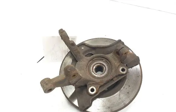 Fiat Punto (188) Front wheel hub spindle knuckle