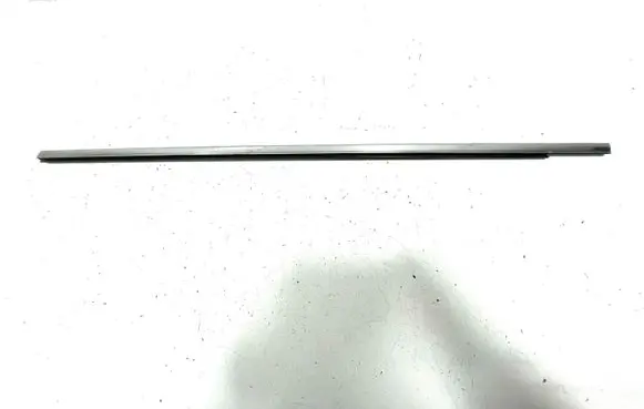 Honda Accord Front door glass trim molding