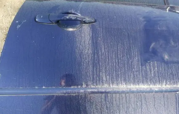 Mazda 5 Rear door trim (molding) 