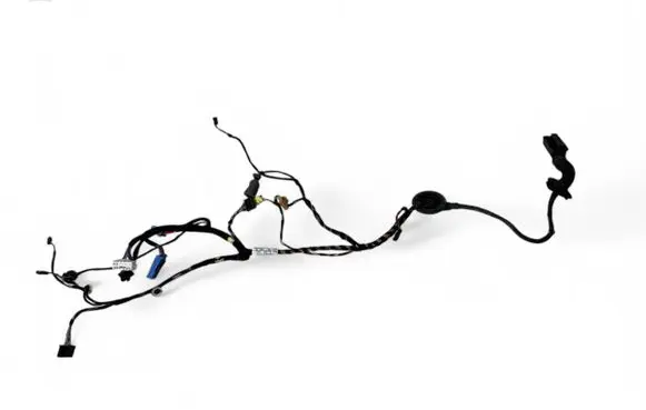 Front door wiring loom