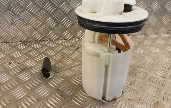 Ford B-MAX In-tank fuel pump AY119H307CE 0580200315 AV119N307CE