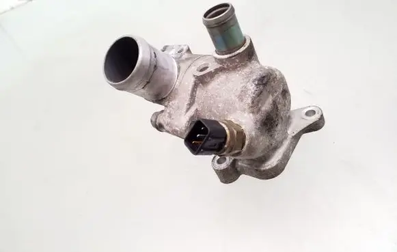 Thermostat/thermostat housing