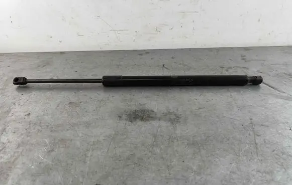Land Rover Discovery Sport Tailgate strut LR058520